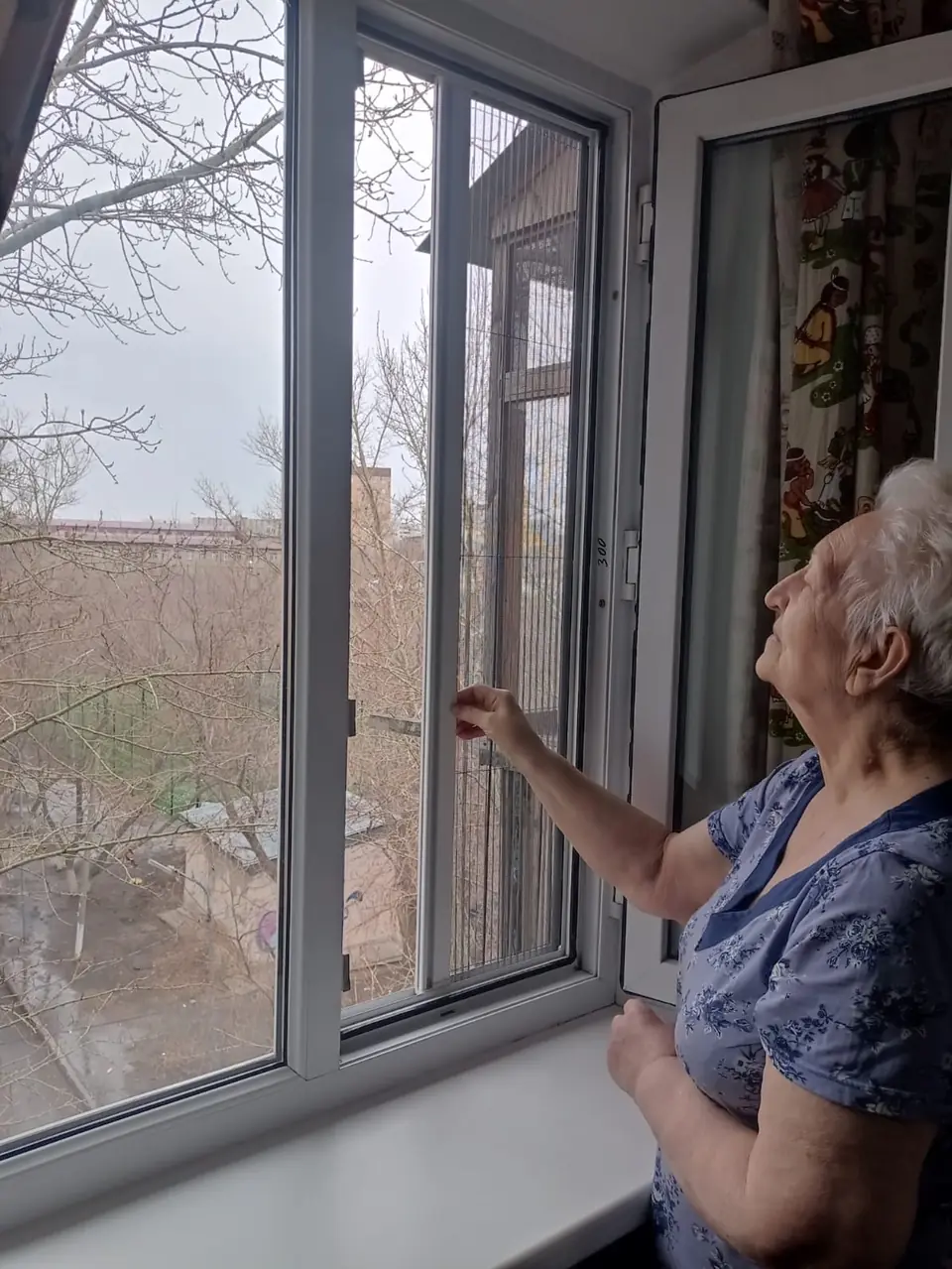 Новое окно с москитной сеткой